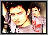 adidas, Elijah Wood, t-shirt